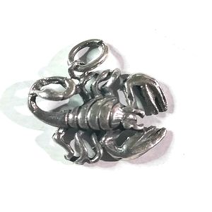 NEW .925 Sterling Silver Zodiac Cancer the Crab Pendant Charm!
